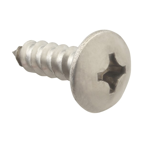 Screw, Sm/Th/Ss (100)